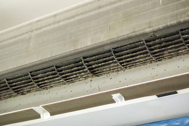 Best Air Duct Cleaning Near Me  in Four Oaks, NC